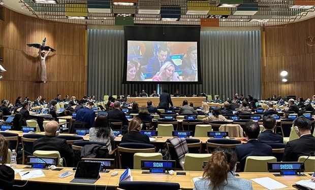 L'ambassadeur Dang Hoàng Giang, chef de la Mission permanente du Vietnam auprès de l'ONU, prend la parole lors de la discussion. Photo : VNA.