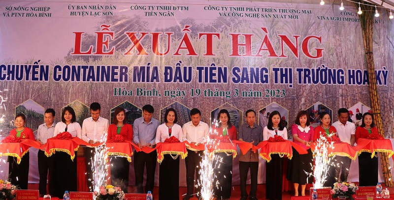 Cérémonie pour exporter le premier lot de canne à sucre de Hoa Binh vers les États-Unis. Photo : NDEL. 