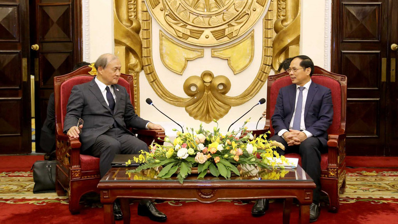 Le ministre des Affaires étrangères, Bùi Thanh Son (à droite) et Akiba Takeo, secrétaire général du Secrétariat à la sécurité nationale du Japon. Photo : baoquocte.vn