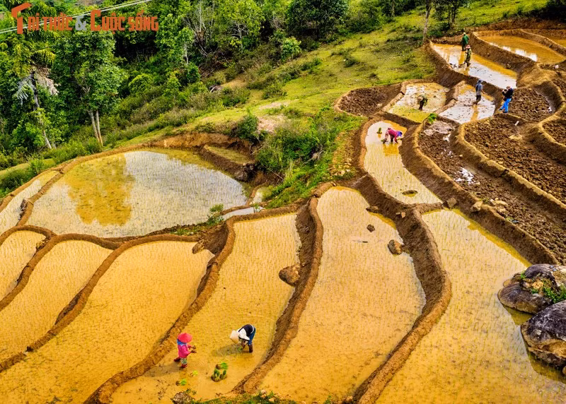 Tu Mo Rông a une topographie complexe, divisée par des rivières, des ruisseaux, et de hautes montagnes. Il abrite beaucoup de rizières en terrasses. Tu Mo Rông a une topographie complexe, divisée par des rivières, des ruisseaux, et de hautes montagnes. Il abrite beaucoup de rizières en terrasses.