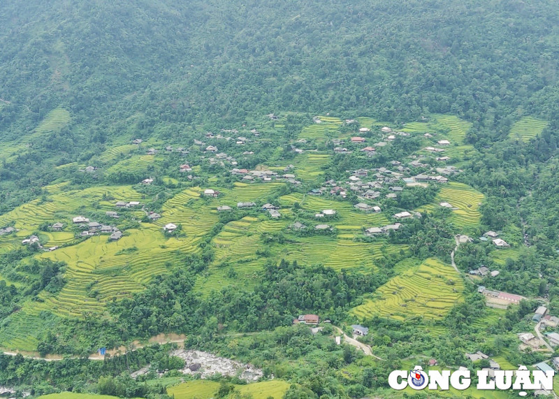 Le riz de Lùng Tao est le plus beau de la fin septembre au milieu d'octobre, lorsque les grains de riz sont murs et jaunissent progressivement. Photo : congluan.vn