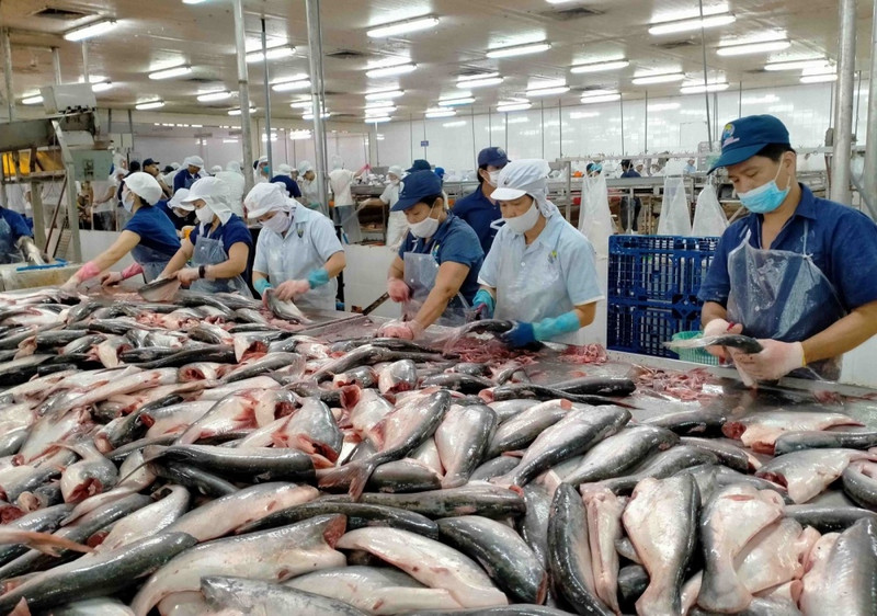 Les États-Unis constituent un marché important et consomment beaucoup de pangasius vietnamiens. Photo : congthuong.vn
