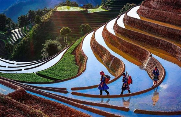 Yên Bai a accueilli plus de 525.000 visiteurs depuis début 2023. Photo : VNA.