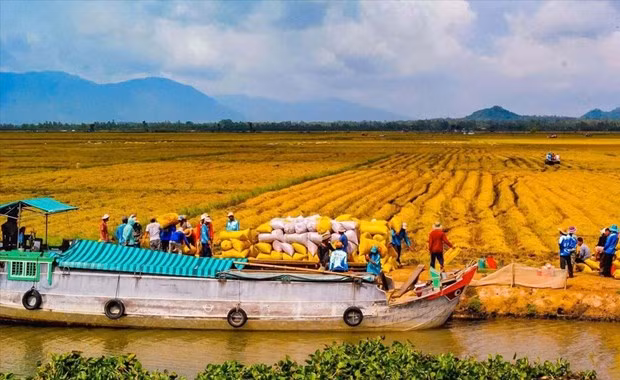 Le programme KC15/21-30 est en faveur du développement du delta du Mékong. Photo : CVN.