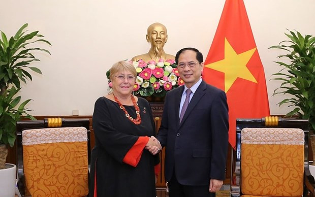 Le ministre des Affaires étrangères Bùi Thanh Son et l'ancienne Présidente chilienne, Michelle Bachelet Jeria. Photo : VNA.