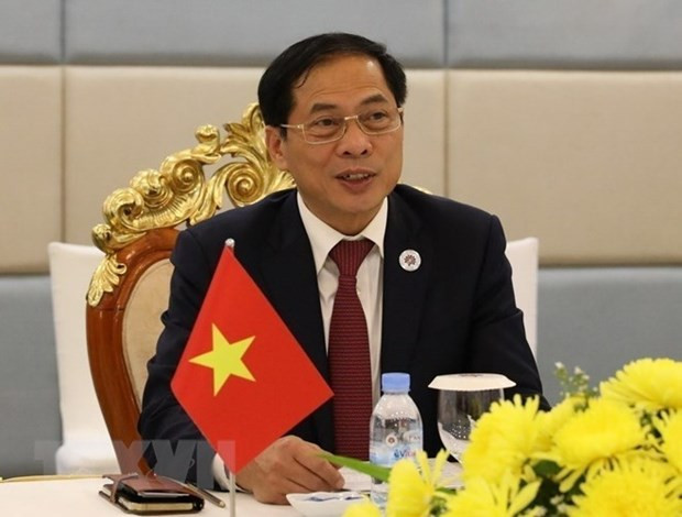 Le ministre vietnamien des Affaires étrangères Bui Thanh Son. Photo : VNA
