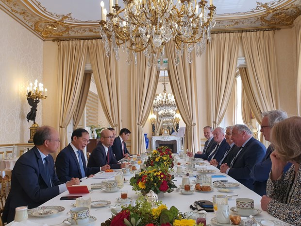 Le ministre vietnamien des Affaires étrangères Bui Thanh Son a eu le 6 juin à Paris une entrevue avec le président du Sénat français Gérard Larcher. Photo : VNA