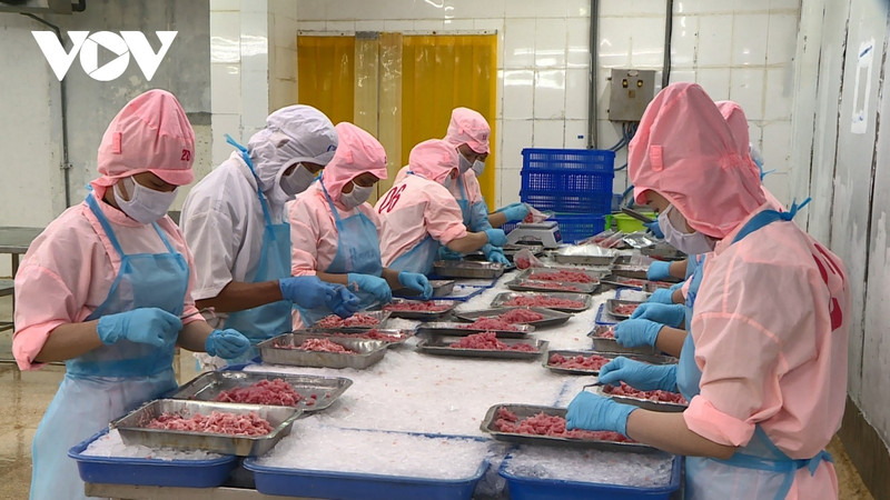 Le Japon a dépassé les États-Unis pour devenir le premier importateur de produits aquatiques vietnamiens au cours du 2e trimestre de l’année, en ayant atteint 713 millions de dollars. Photo : VOV.vn