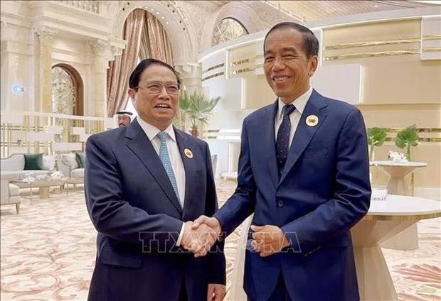Le Premier ministre Pham Minh Chinh (à gauche) et le président indonésien Joko Widodo. Photo : VNA