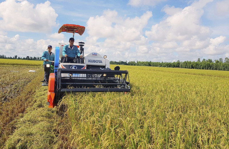 Sur le marché philippin, le riz vietnamien présente de nombreux avantages. Photo : congthuong.vn