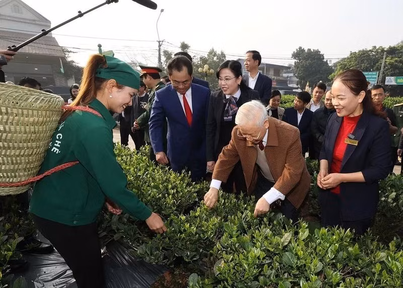 Le secrétaire général du Part communiste du Vietnam, Nguyên Phu Trong, visite le jardin de thé de la cooprérative Hao Dat, dans la ville de Thai Nguyên (le 10 janvier 2023). Photo : VNA.