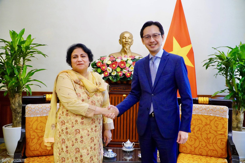 Le vice-ministre vietnamien des Affaires étrangères, Dô Hùng Viêt (à droite) et Samina Mehtab, ambassadrice de la République islamique du Pakistan au Vietnam. Photo : baoquocte.vn