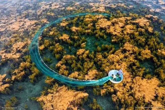 Beauté naturelle du Vietnam. Photo : VNA.