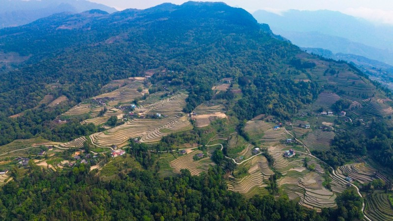 Le Vietnam est le premier pays de l’Asie de l’Est et du Pacifique à recevoir un paiement basé sur les résultats du FCPF de la Banque mondiale. Photo : thoidai.com.vn