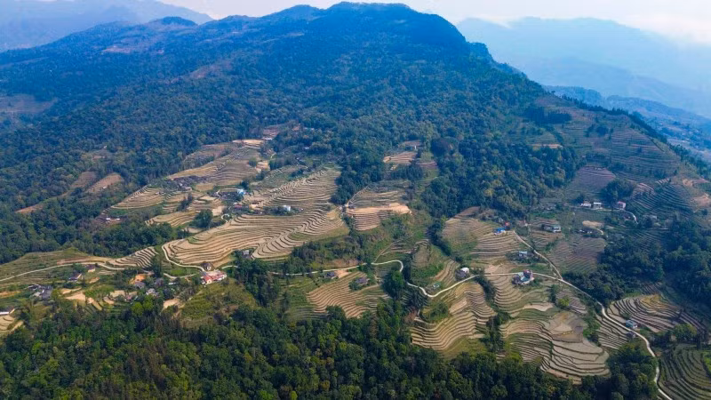 Le Vietnam est le premier pays de l’Asie de l’Est et du Pacifique à recevoir un paiement basé sur les résultats du FCPF de la Banque mondiale. Photo : thoidai.com.vn