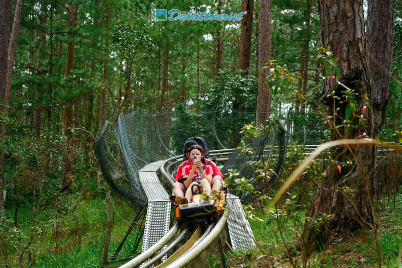 Située sur le col Prenn à Da Lat, la cascade Datanla est célèbre pour ses nombreux jeux passionnants dans la forêt de pins. Photo : VOV.