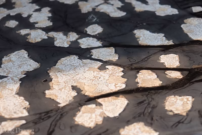 Également au cours de cette période, Dinh Van Thành - professeur à l’École des Beaux-Arts d’Indochine, originaire du village de Ha Thai - a introduit l’artisanat de la laque pour l’enseigner aux habitants du village. Grâce à cela, bien que l’artisanat de la laque soit né plus tard que d’autres professions traditionnelles, il a élevé l’artisanat de la laque au rang d’art en raison de la minutie et de la sophistication du processus créatif de fabrication du produit.