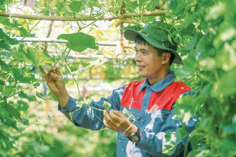Le Docteur Nguyên Duc Chinh. Photo : baoquocte.vn 