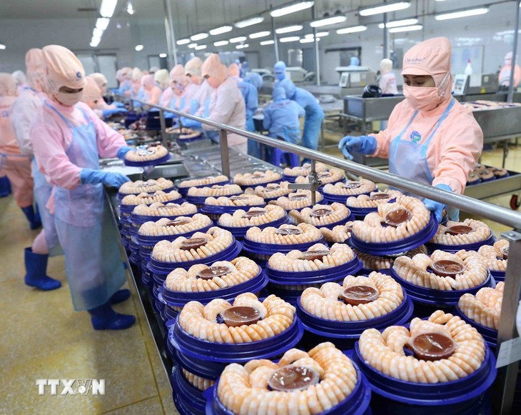 Transformation de crevettes destinées à être exportées vers les USA et le Japon à la société Minh Phu. Photo: VNA