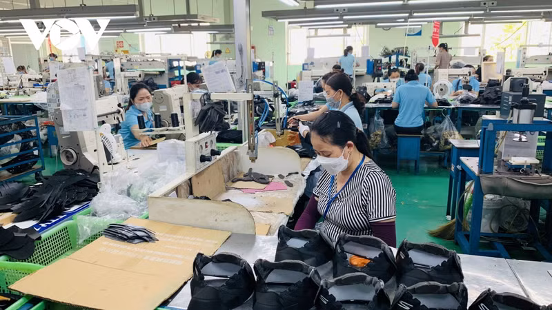 La croissance verte contribue à atteindre le double objectif de développement économique et de limitation des dommages à l'environnement. Photo : VOV