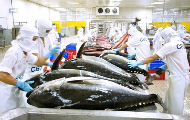 Les exportations de thon en conserve du Vietnam entre janvier et mars ont bondi de 53% sur un an. Photo : VNA.