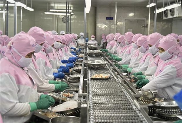 Transformation de crevettes pour l'exportation à Soc Trang. Photo : VNA.
