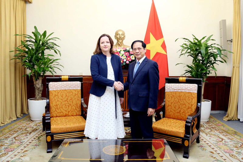 Le ministre des Affaires étrangères (AE) Bui Thanh Son rencontre Anna Krystyna Radwan-Röhrenschef, sous-secrétaire d'État au ministère polonais des AE. Photo : VNA.