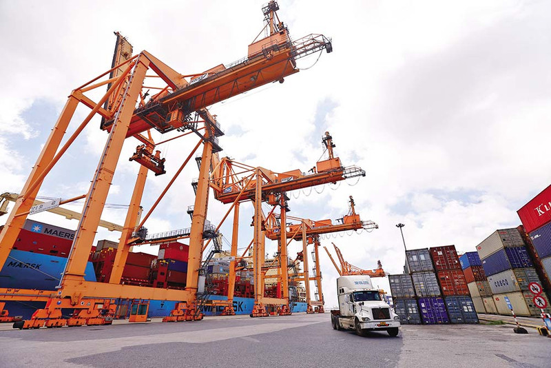 L’empreinte du Vietnam dans la chaîne d’approvisionnement mondiale en matières premières est de plus en plus nette, puisque jusqu’à 53 milliards de dollars de produits agricoles ont été vendus dans le monde. Photo : baodautu.vn