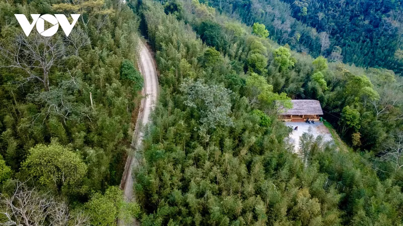 La forêt de bambous de Ban Phuong a une superficie de plus de 30 hectares, à seulement 40 km environ du chef-lieu de Nguyen Binh, avec les transports pratiques.
