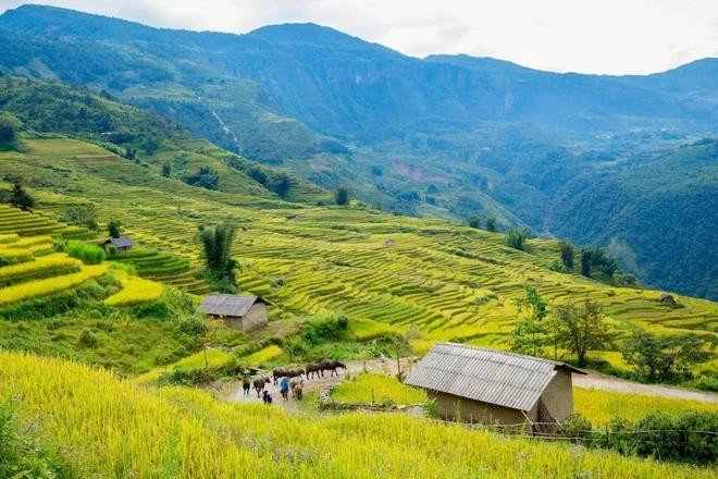 Le Vietnam parmi les 5 destinations asiatiques préférées des touristes européens à l’été 2025