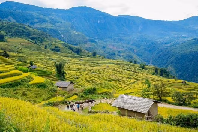 Pu Luong, une retraite fantastique pour les amoureux de la nature. Photo: VNA