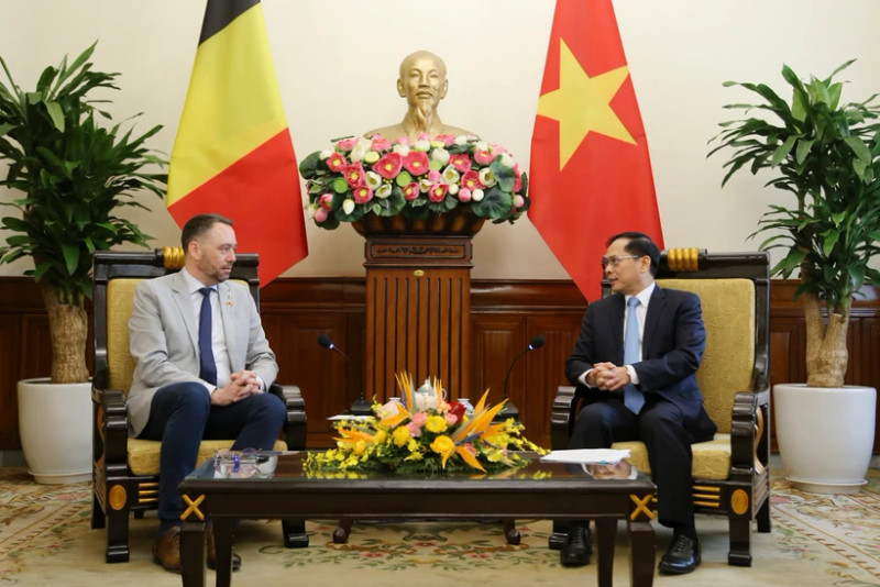 Le vice-Premier ministre et ministre des Affaires étrangères, Bui Thanh Son (à droite) et le vice-Premier ministre belge et ministre des Affaires étrangères, des Affaires européennes et de la Coopération au développement, Maxime Prévot, à Hanoi, le 31 mars. Photo : VNA.