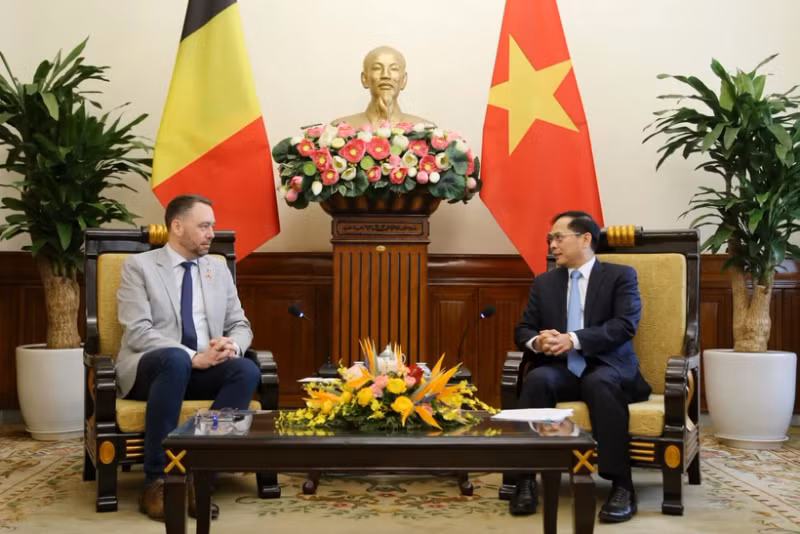 Le vice-Premier ministre et ministre des Affaires étrangères, Bui Thanh Son (à droite) et le vice-Premier ministre belge et ministre des Affaires étrangères, des Affaires européennes et de la Coopération au développement, Maxime Prévot, à Hanoi, le 31 mars. Photo : VNA.