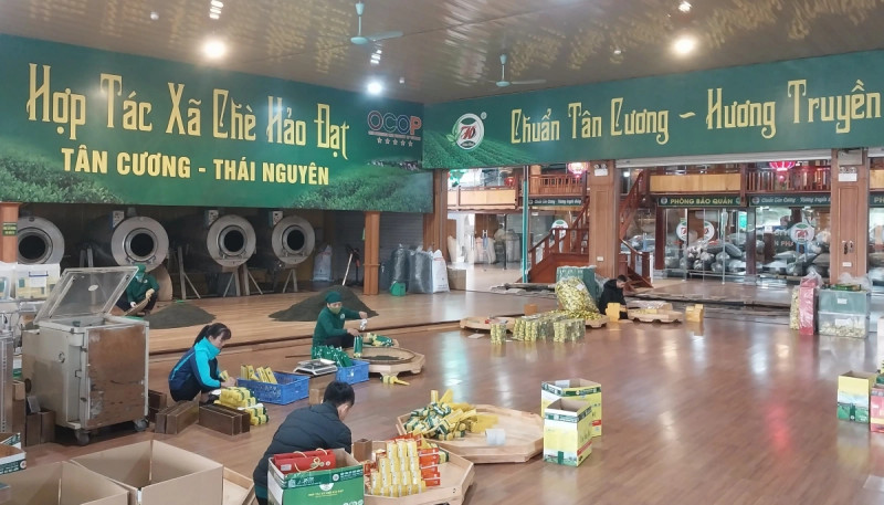 Thai Nguyên a vu deux nouveaux produits obtenir la certification OCOP 5 étoiles