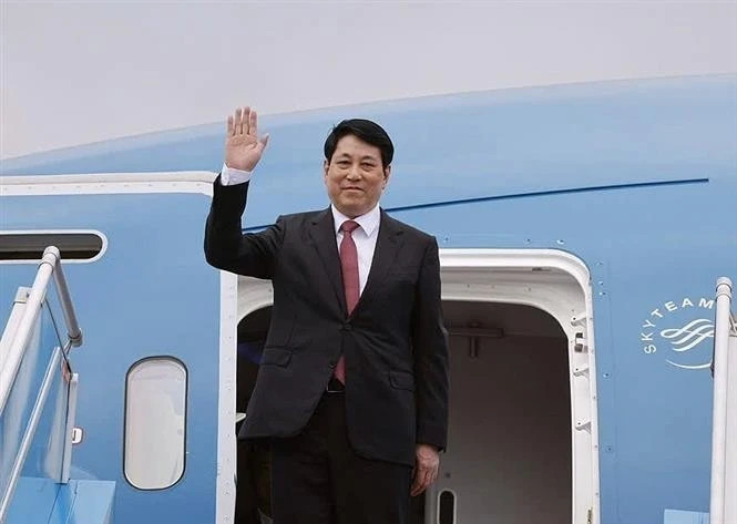Le président vietnamien Luong Cuong. Photo : VNA.