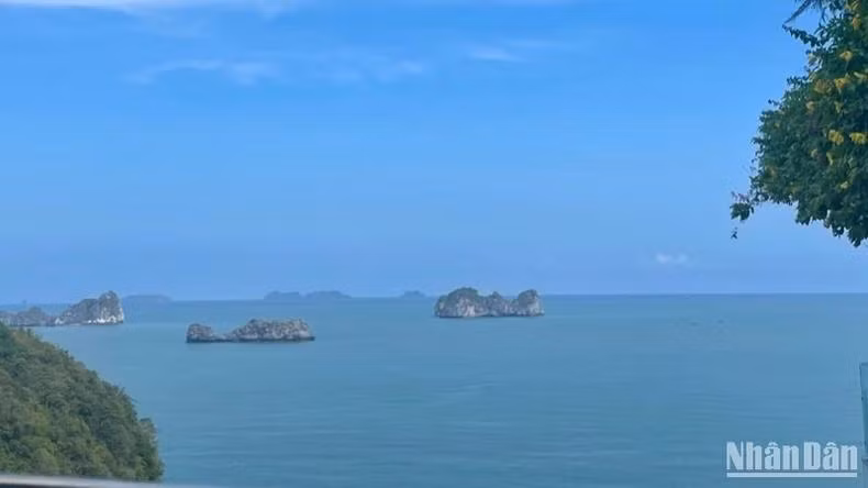 Ces dernières années, le Vietnam a enregistré des progrès significatifs dans la protection de l’environnement marin, en s’appuyant sur la science et la technologie pour construire une économie bleue durable. Photo : NDEL.