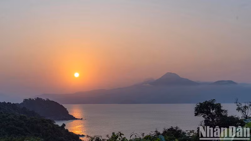 Le coucher du soleil est le moment idéal pour observer des volées de douc manger des feuilles le long de la route sur la péninsule de Son Tra.