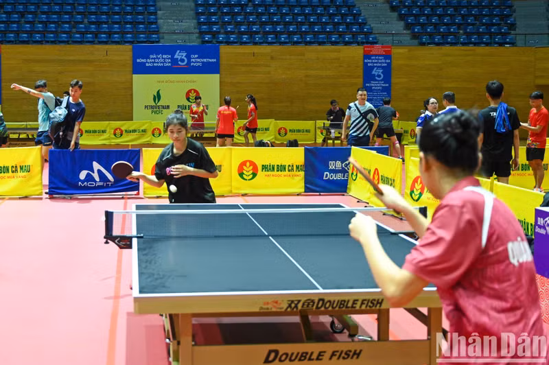 Outre les sept lots de médailles totalisant 28 prix, le journal Nhân Dân décernera également deux prix aux jeunes athlètes, hommes et femmes, les plus remarquables, ainsi que deux autres prix pour les localités qui développent activement le mouvement de compétition de tennis de table et la localité hôte des événements de cette année.