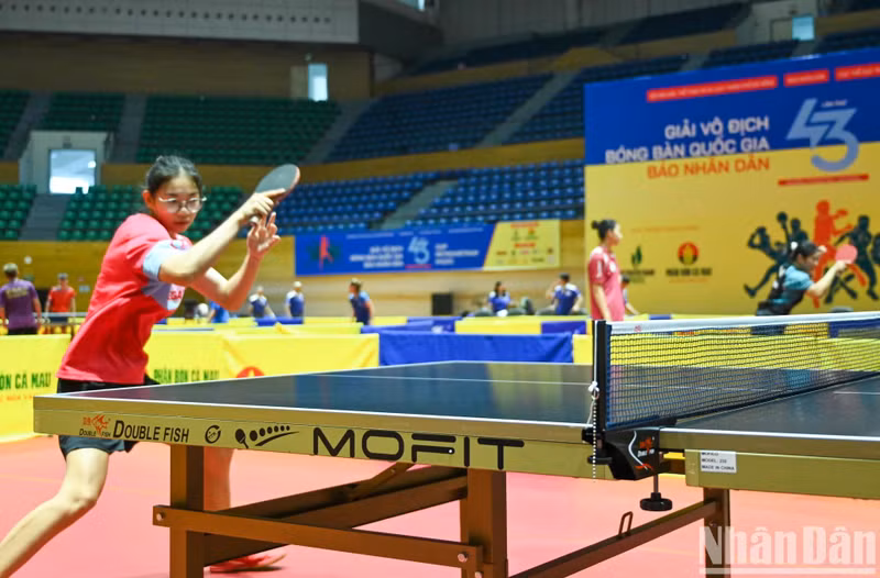 Le tournoi promet une compétition intense et de grande qualité, avec la participation de tous les membres de l'équipe nationale, de jeunes athlètes récemment couronnés de succès aux championnats régionaux juniors et de nombreuses nouvelles délégations de tennis de table.