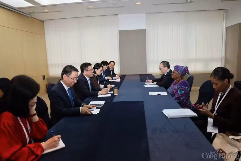 Le ministre Nguyen Hong Dien s’entretient avec Mme Ngozi Okonjo-Iweala, directrice générale de l’OMC. Photo: baocongthuong