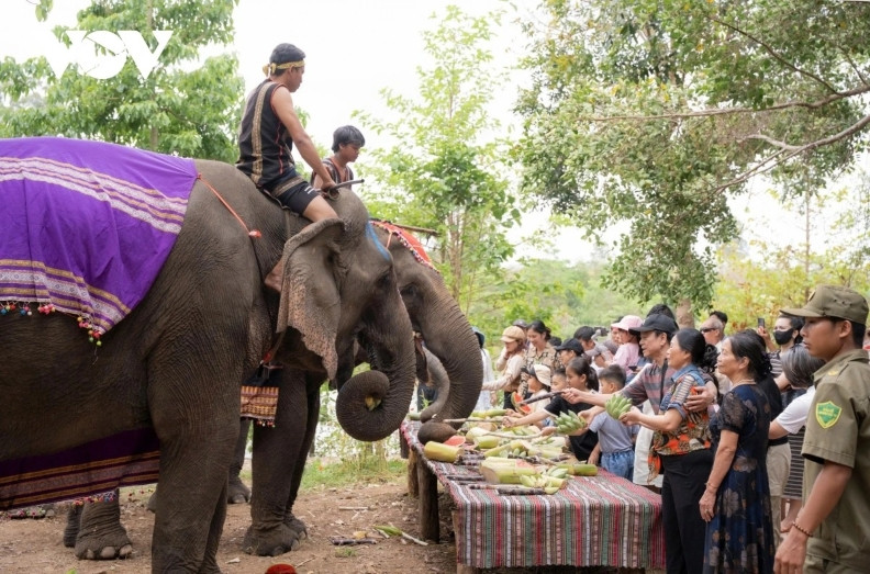 En plus du tourisme convivial à dos d'éléphant, les visiteurs pourront «Admirer Buon Don d'en haut» pendant les vacances du 30 avril et du 1er mai. Photo : VOV.