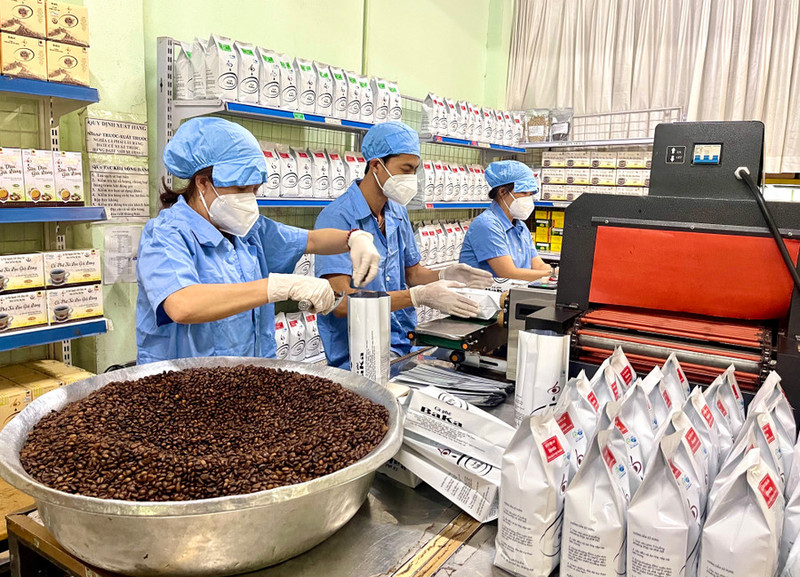 Gia Lai bénéficie d’atouts agricoles tels que le café et le poivre, mais le nombre de grandes entreprises privées dans ce secteur reste limité. Photo : TMO.