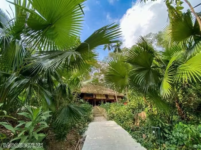 Les maisons des Tày sont principalement construites en bois, avec des toits couverts de feuilles de palmier ou de chaume. Photo: baoquocte