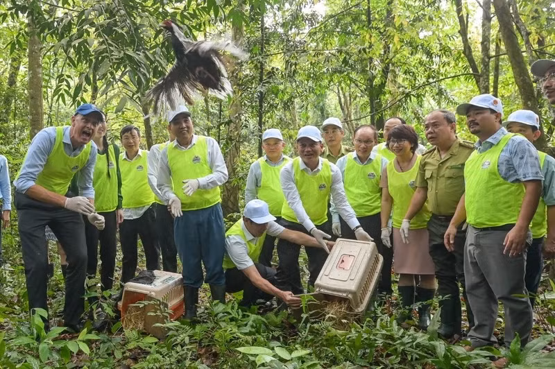 Vivre en harmonie avec la nature pour un développement durable ảnh 2 Vivre en harmonie avec la nature pour un développement durable ảnh 2