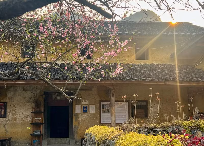 Selon les statistiques du Comité populaire du district de Dông Van, en ce début d’année 2025, le village compte 120 foyers, dont 45 exploitent des homestays. D’autres familles tiennent des restaurants, cafés et divers services touristiques. Durant les week-ends et les périodes de fêtes, le village accueille environ 700 visiteurs en hébergement, tandis que le nombre de touristes en excursion à la journée varie entre 250 et 350. Photo : Giang Trịnh.