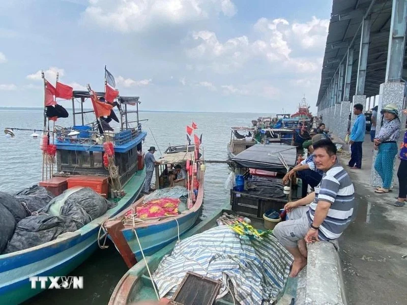 Binh Dinh intensifie sa lutte contre la pêche INN. Photo : VNA.