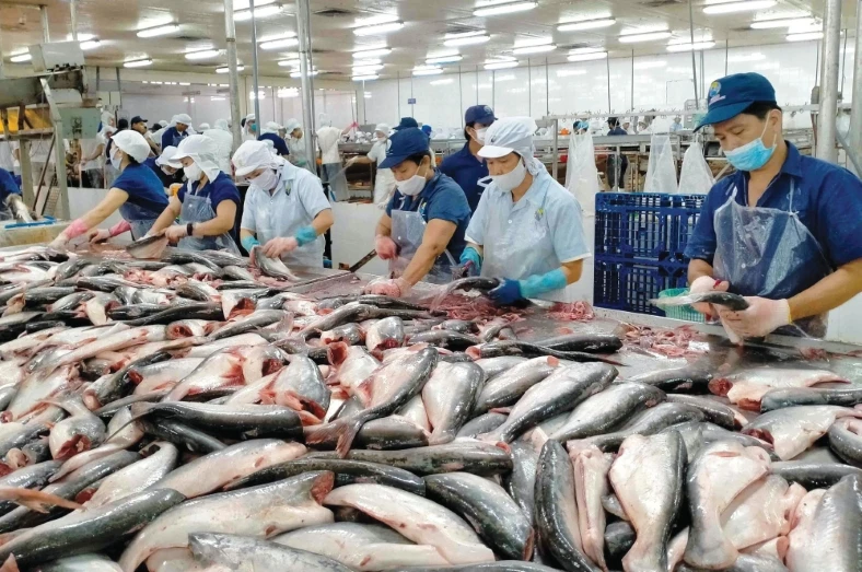 Les exportations de produits aquatiques confrontées aux défis tarifaires des États-Unis. Photo : VGP.