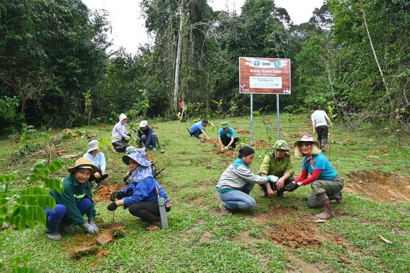 Au Vietnam, de nombreux programmes de grande envergure ont été mis en œuvre pour restaurer les zones forestières dégradées. Photo : Gaia