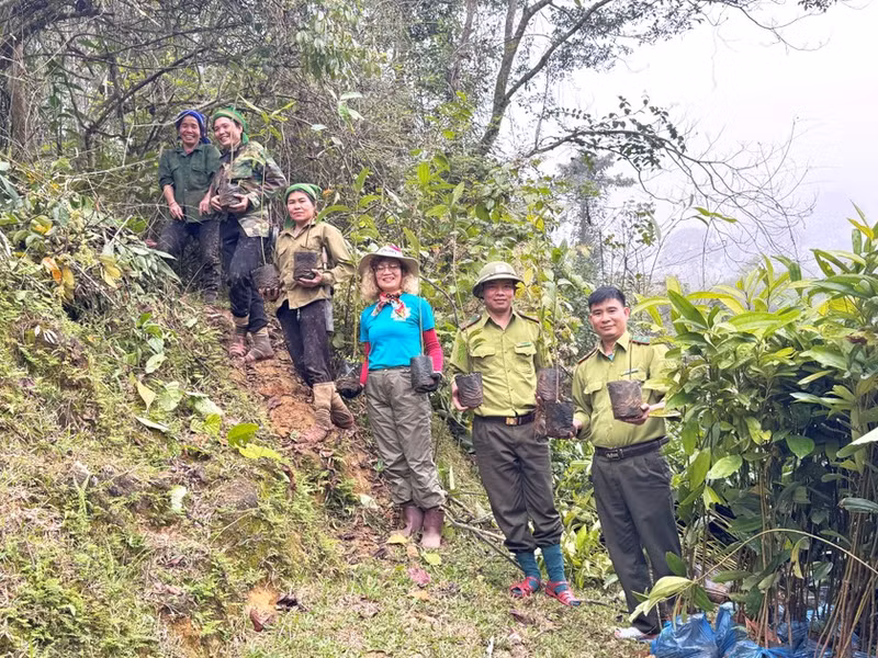 Les forêts nouvellement plantées seront entretenues et surveillées par Gaia pendant quatre ans. Photo : Gaia