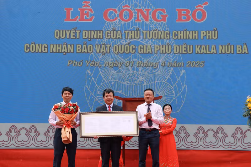 Le vice-président du Comité populaire provincial de Phu Yên, Dào My, présente la décision du Premier ministre de reconnaître le relief de Kala - Nui Bà comme trésor national. Photo : baolaodong.